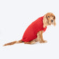 HUFT Berry Merry Sweater For Dog - Red - Heads Up For Tails