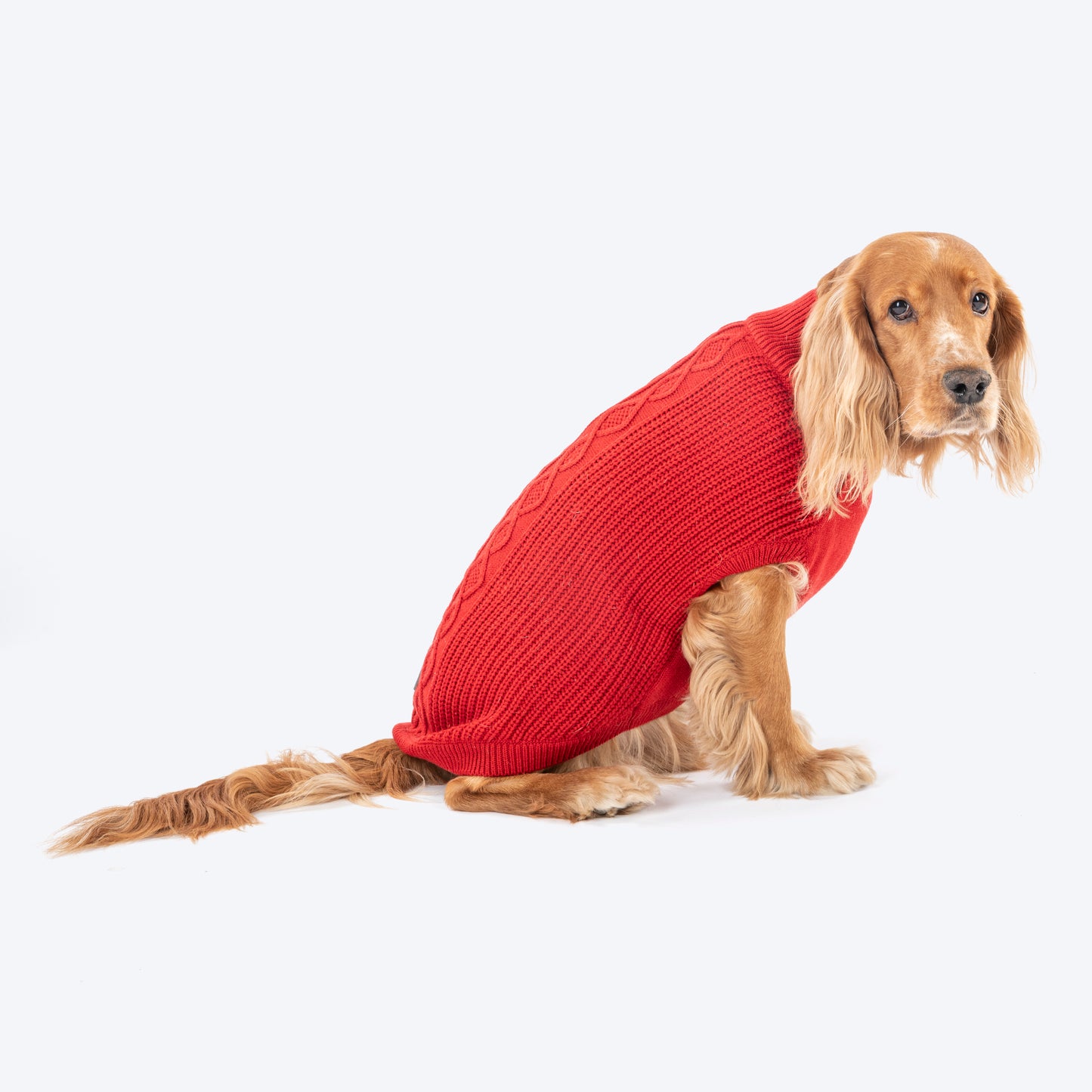 HUFT Berry Merry Sweater For Dog - Red - Heads Up For Tails