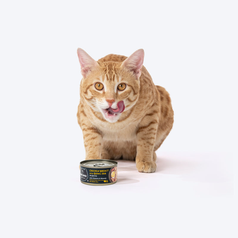 Meowsi by HUFT Chicken Breast with Quail Egg in Broth, 80 gm, grain-free, with vitamins and minerals.