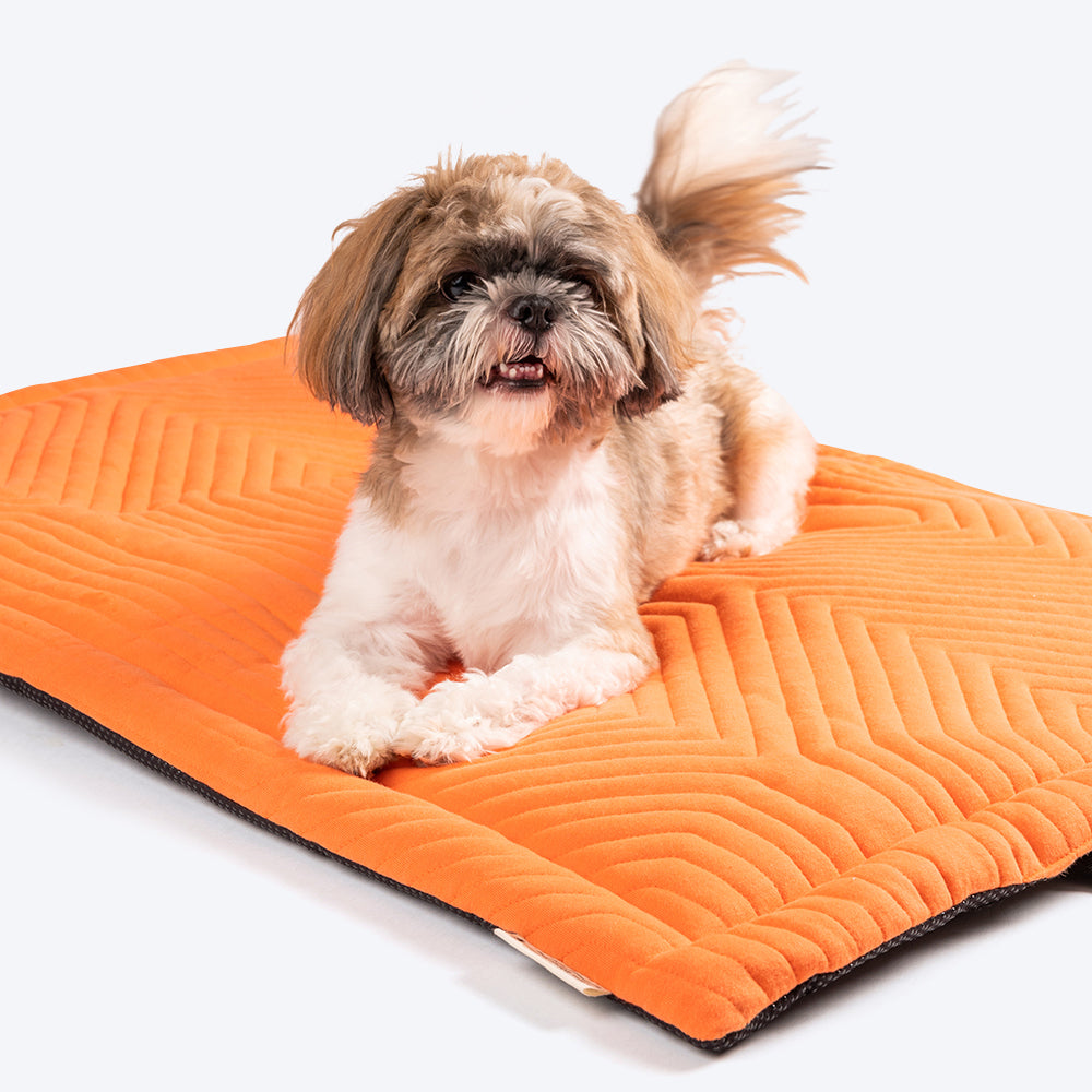 Foldable hotsell dog mat