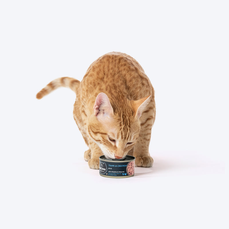 Meowsi by HUFT Tuna & Chicken Pâté Canned Cat Wet Food, 80 gm, grain-free with vitamins and minerals.