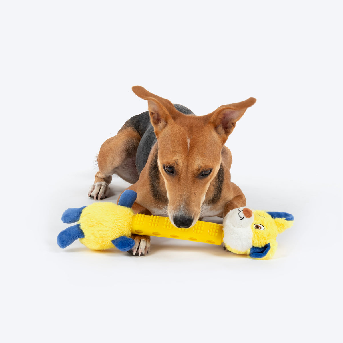 HUFT Lolo LongNeck Chew Toy For Dog - Yellow - Heads Up For Tails