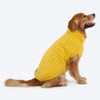 TLC Sunny Days Sweater For Dog - Yellow - Heads Up For Tails