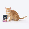 Meowsi by HUFT Chicken Breast with Duck pâté cat wet food, 80 gm, featuring a cat and a bowl of food on the packaging.