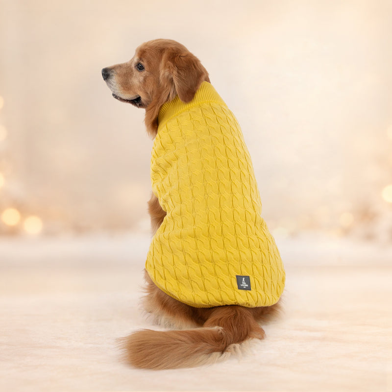 TLC Sunny Days Sweater For Dog - Yellow