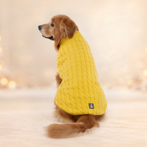 TLC Sunny Days Sweater For Dog - Yellow