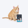 Meowsi Tuna & Shrimp Mousse Cat Wet Food, 80 gm, grain-free, with vitamins and minerals for balanced nutrition.