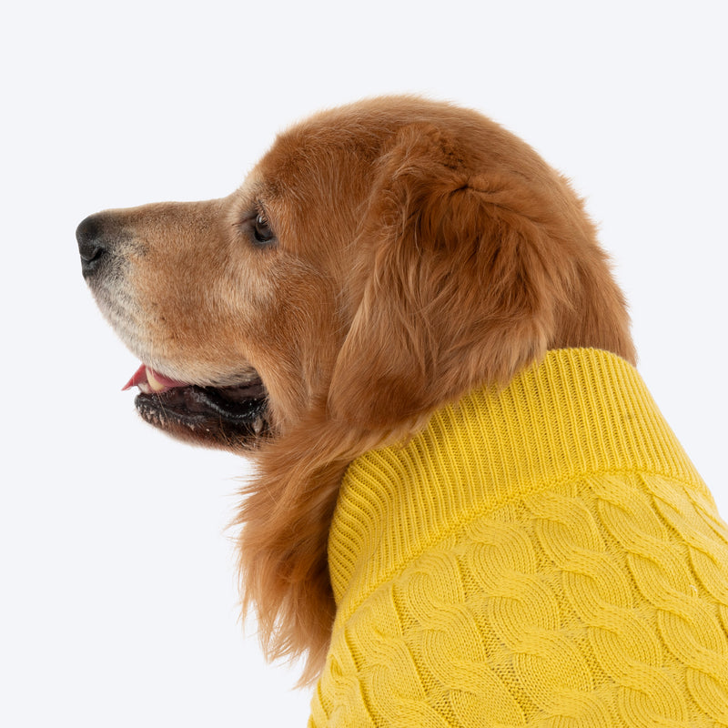 TLC Sunny Days Sweater For Dog - Yellow - Heads Up For Tails