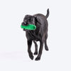HUFT Squeak-N-Chew Cruiser Toy For Dog - Green - Heads Up For Tails