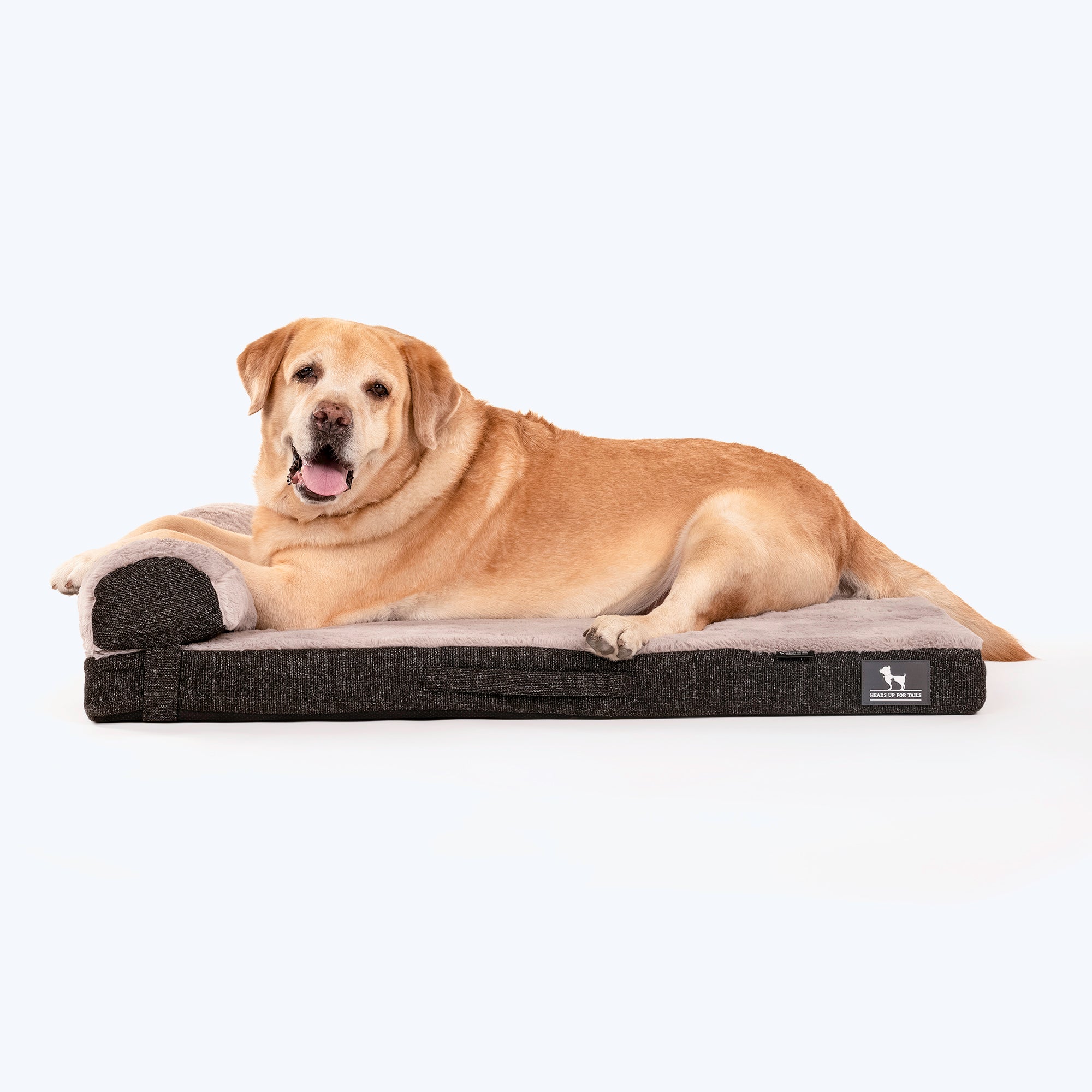 Happy tails orthopedic top dog bed