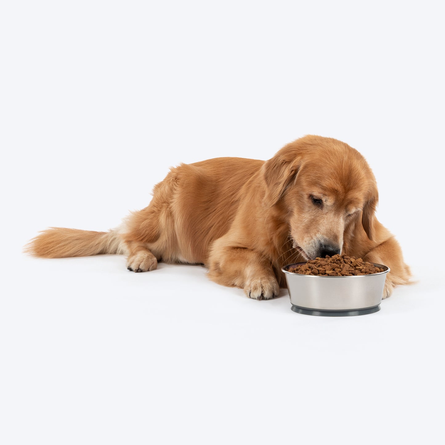 HUFT Suction Bowl For Dog - Grey