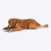 HUFT Ferns & Fur Printed Steel Bowl For Dog - Sage Green - Heads Up For Tails