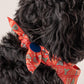 HUFT Yay! Happy Birthday Knot Dog Bandana - Heads Up For Tails