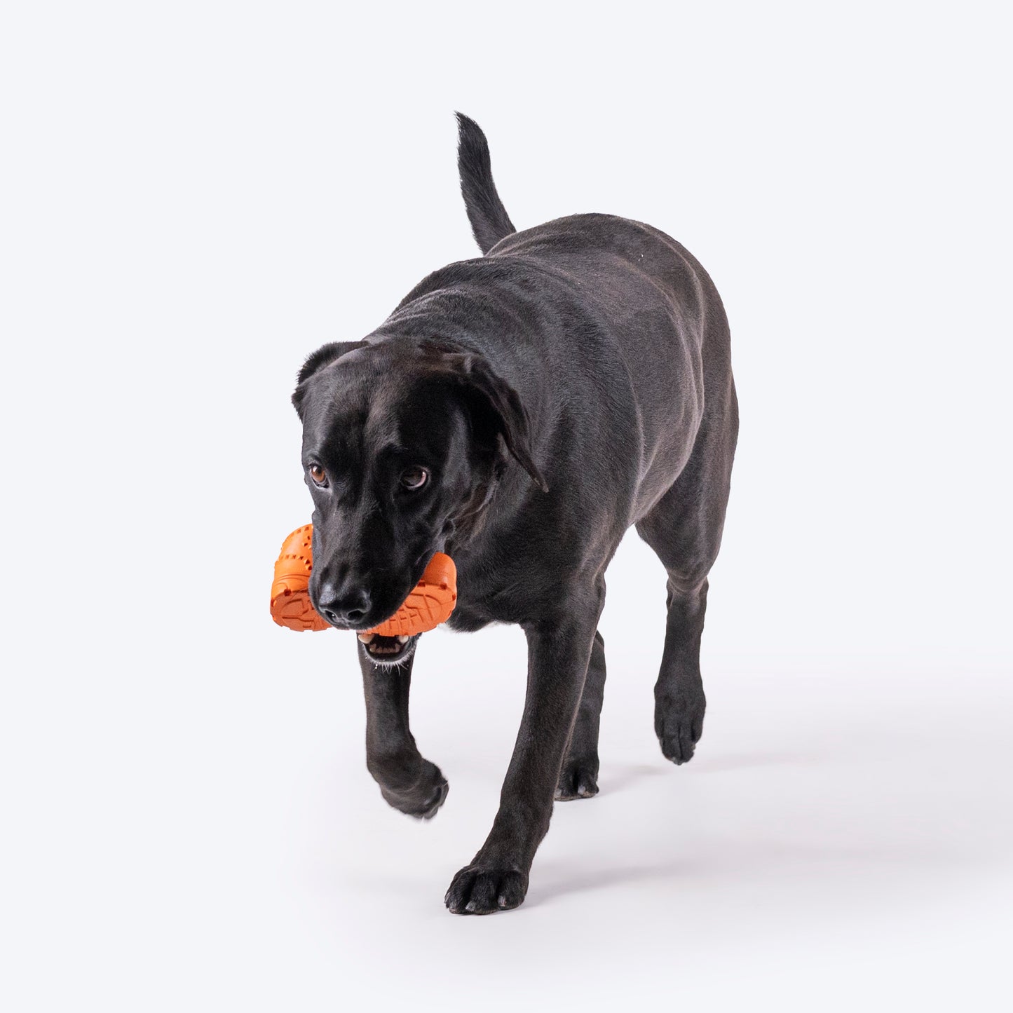 HUFT Squeaky Shoe Chew Toy For Dog - Orange