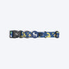 HUFT Dino Land Collar For Dog - Blue - Heads Up For Tails