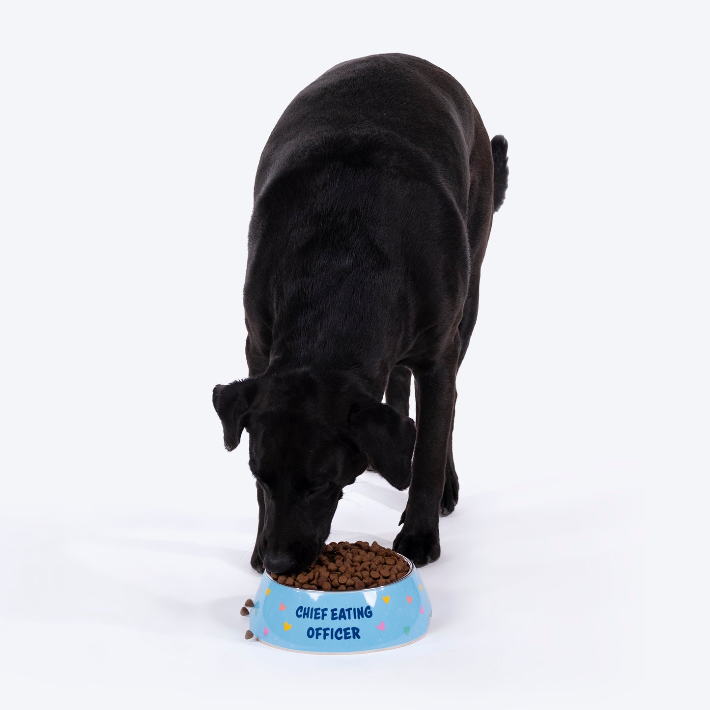 HUFT Chief Eating Officer Printed Melamine Bowl For Dogs - Skyblue - Heads Up For Tails