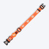 HUFT Teddy Collar For Dog - Red