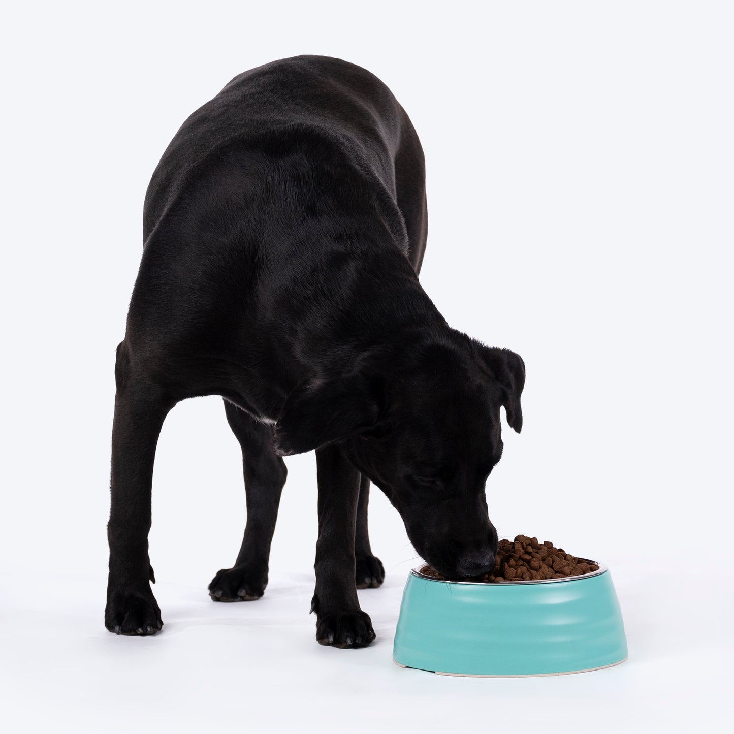 HUFT Waves Embossed Melamine Bowl For Dogs - Aqua - Heads Up For Tails