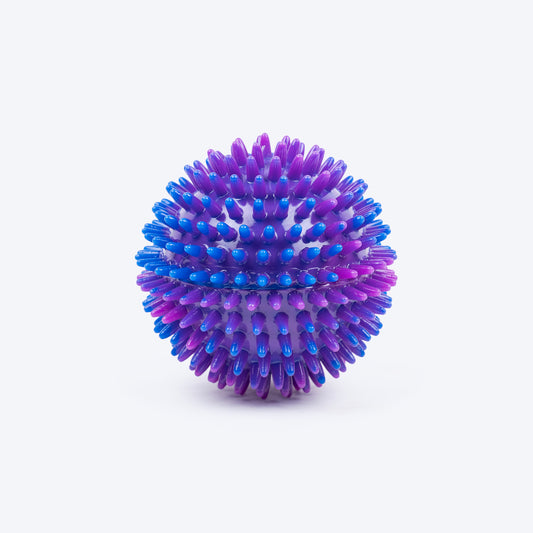Dash Dog Spiky Ball Toy For Dog - Blue - Heads Up For Tails