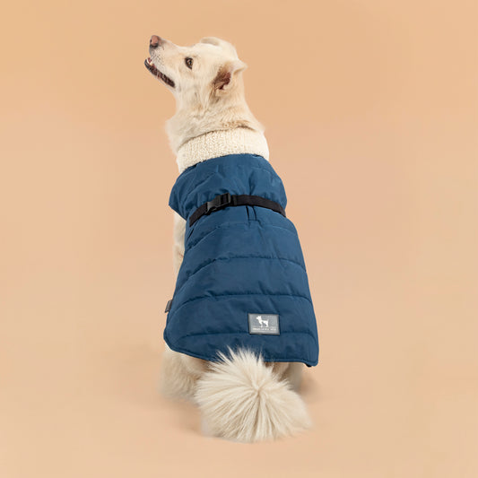 HUFT Snuggle Bug Jacket For Big Dog - Blue