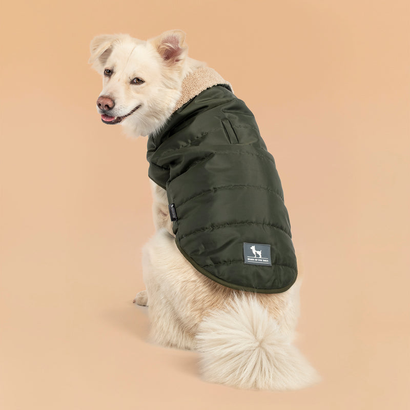 HUFT Puffer Paws Jacket For Big Dog - Green - Heads Up For Tails