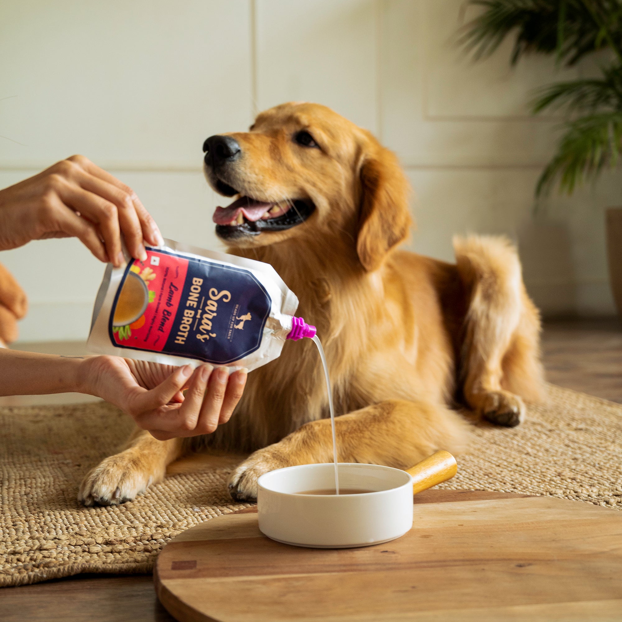 Bone broth clearance for senior dogs