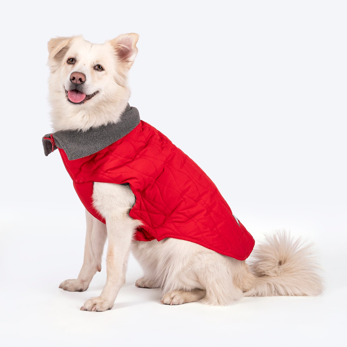 HUFT Charming Cherry Jacket For Big Dog - Red