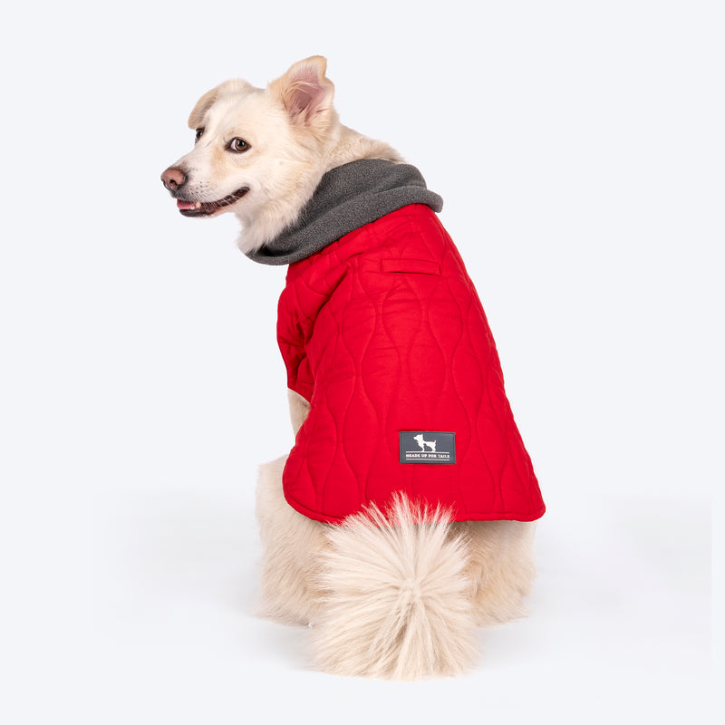 HUFT Charming Cherry Jacket For Big Dog - Red - Heads Up For Tails