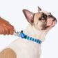 HUFT Blazing Blue Printed Dog Leash - Heads Up For Tails