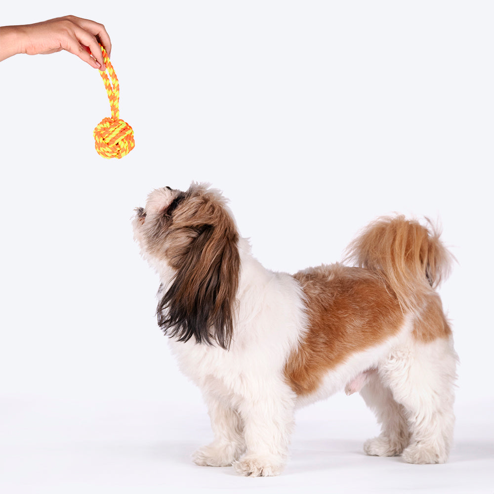 HUFT Tuff Tug Trio Rope Toy Combo For Dog - Heads Up For Tails