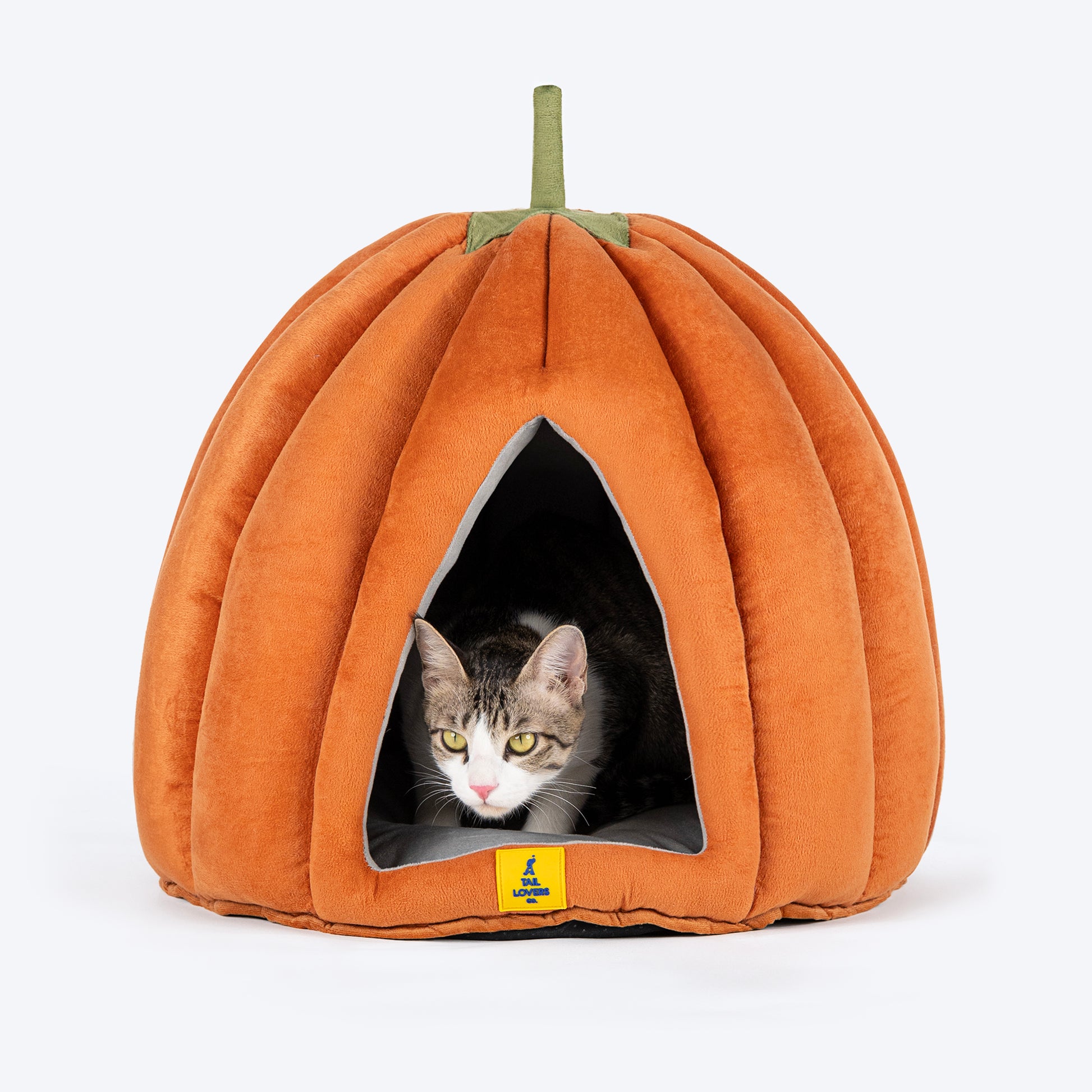 TLC Pumpkin Bed For Cats & Puppy - Orange_02