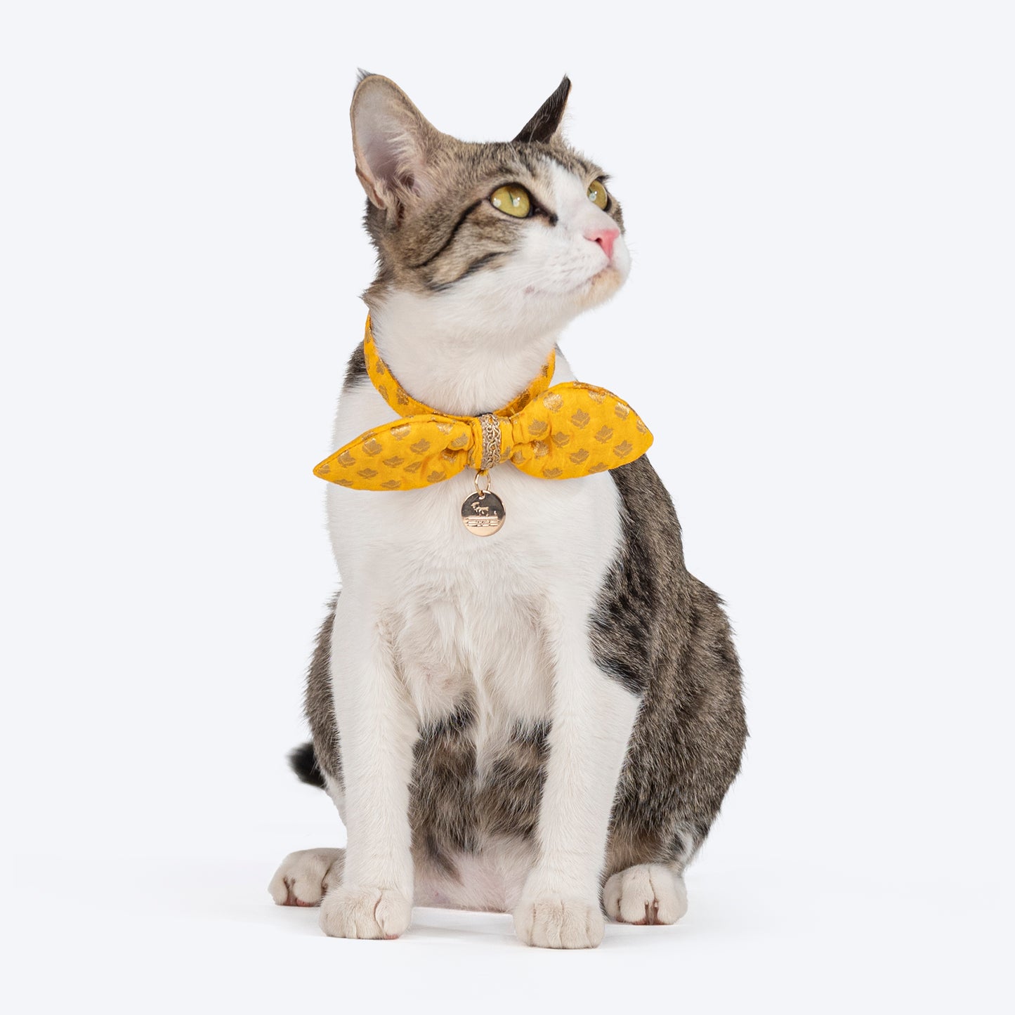 HUFT Brocade Dazzle Bow Tie With Strap For Cat - Yellow