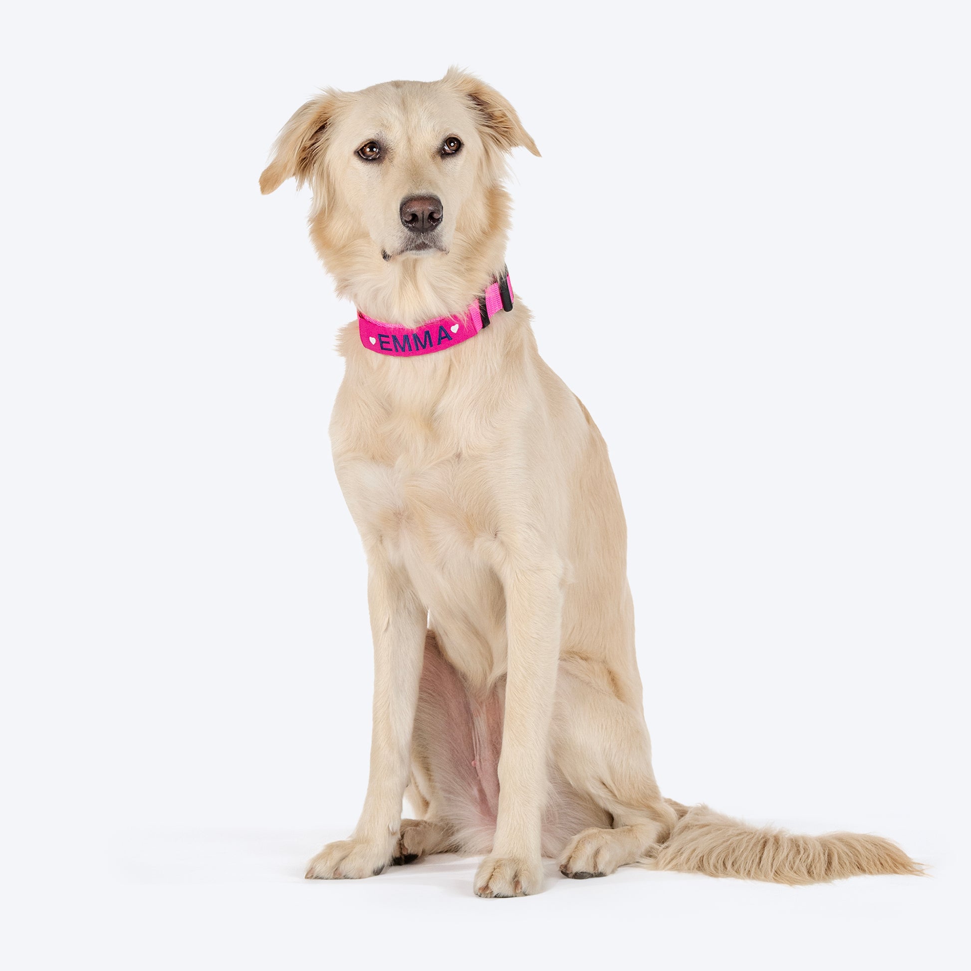 HUFT Personalised Basics Dog Collar - Pink - Heads Up For Tails