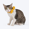HUFT Brocade Dazzle Bow Tie With Strap For Cat - Yellow - Heads Up For Tails