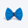 HUFT Festive Bandhej Bling Dog Bow Tie - Pink & Blue - Heads Up For Tails