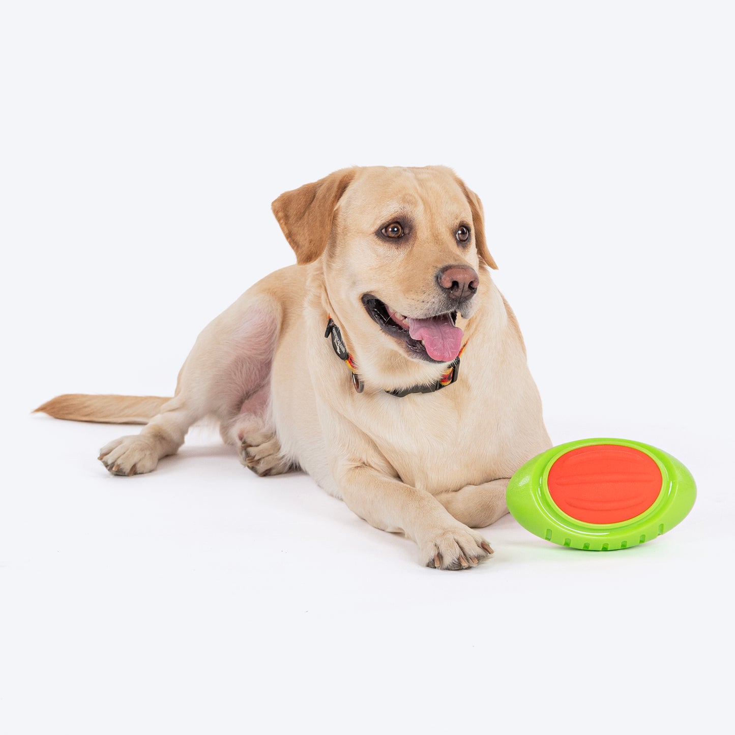 Dash Dog Sprinter Fetch Toy For Dog - Green & Orange - L_05