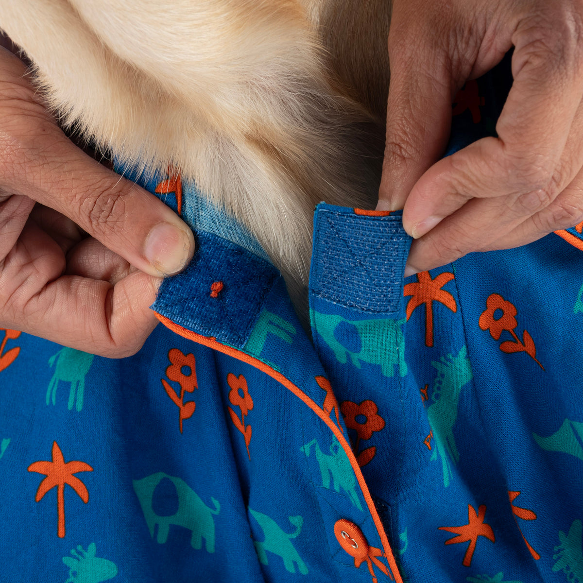 HUFT X Pinklay Jungle Joyride Shirt For Dog - Blue & Orange - Heads Up For Tails