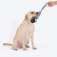 HUFT Tug Master Rope Toy For Dogs_05