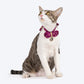 HUFT Brocade Dazzle Bow Tie With Strap For Cat - Purple