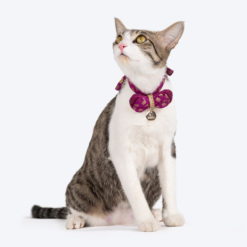 HUFT Brocade Dazzle Bow Tie With Strap For Cat - Purple - Heads Up For Tails