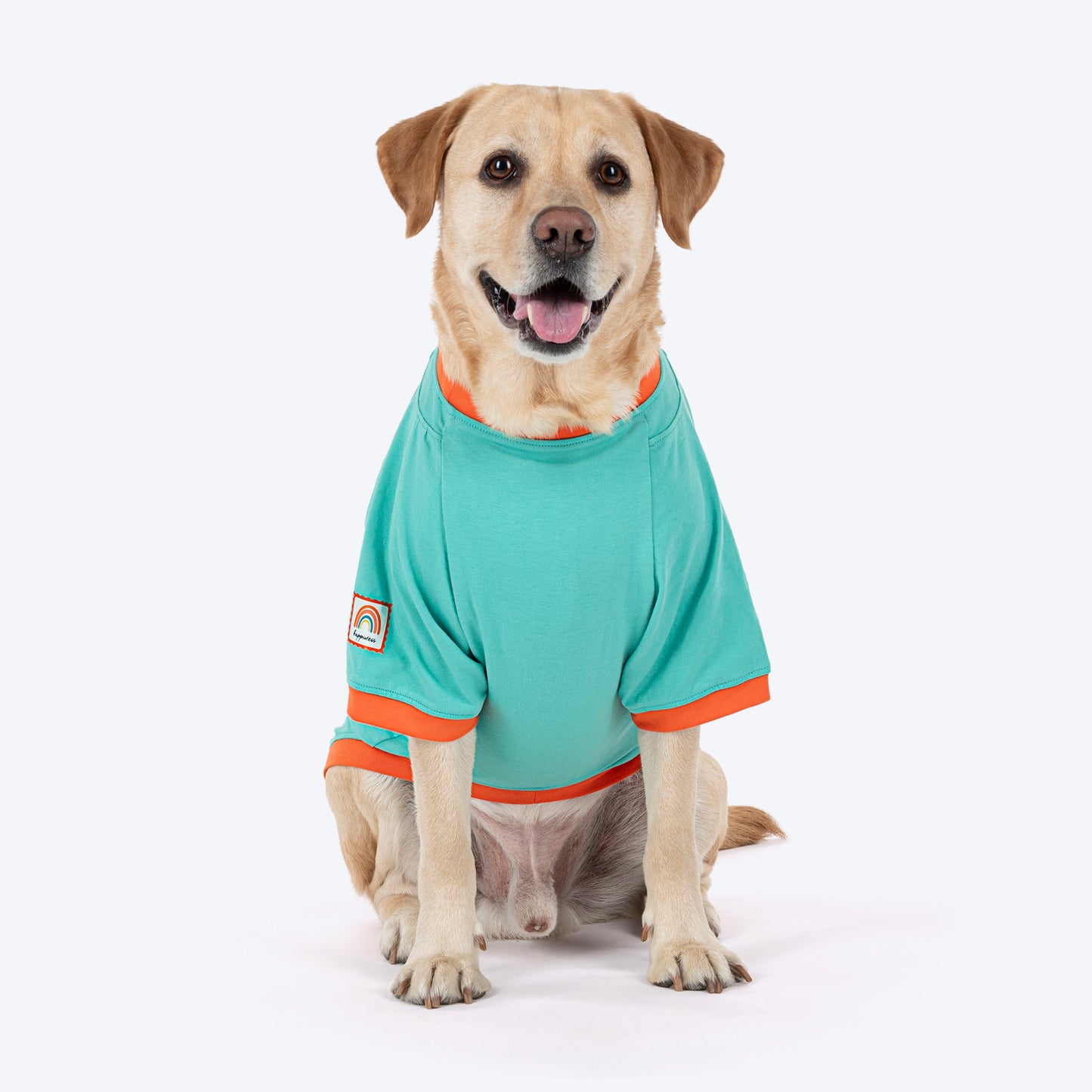 HUFT Cub Club T-Shirt For Dog - Turquoise - Heads Up For Tails