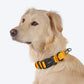 HUFT Personalised Basics Dog Collar - Yellow - Heads Up For Tails