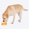 HUFT Chew Champ Toy For Dog_04
