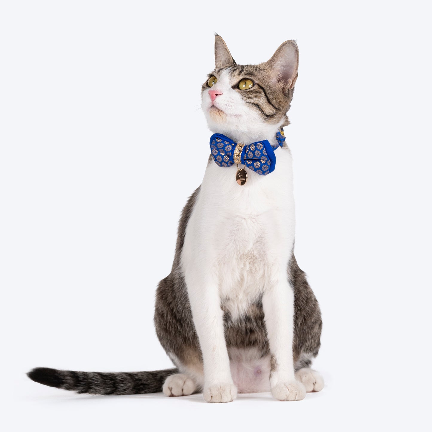 HUFT Brocade Dazzle Bow Tie With Strap For Cat - Blue