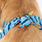 HUFT X Pinklay Jungle Joyride Knot Bandana For Dog - Blue & Orange - Heads Up For Tails