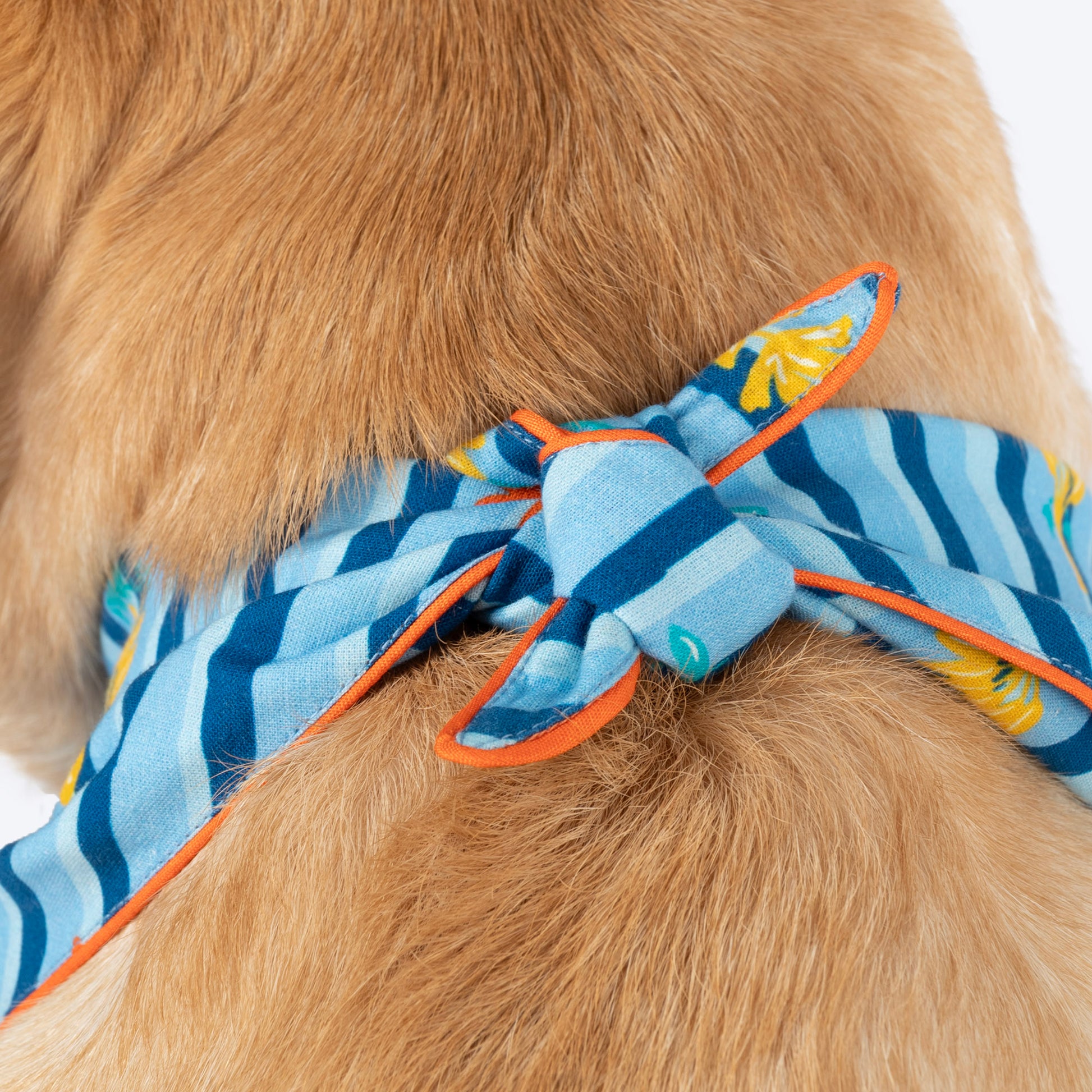 HUFT X Pinklay Jungle Joyride Knot Bandana For Dog - Blue & Orange - Heads Up For Tails