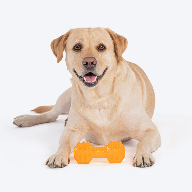 HUFT Chew Champ Toy For Dog_05