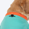 HUFT Cub Club T-Shirt For Dog - Turquoise - Heads Up For Tails