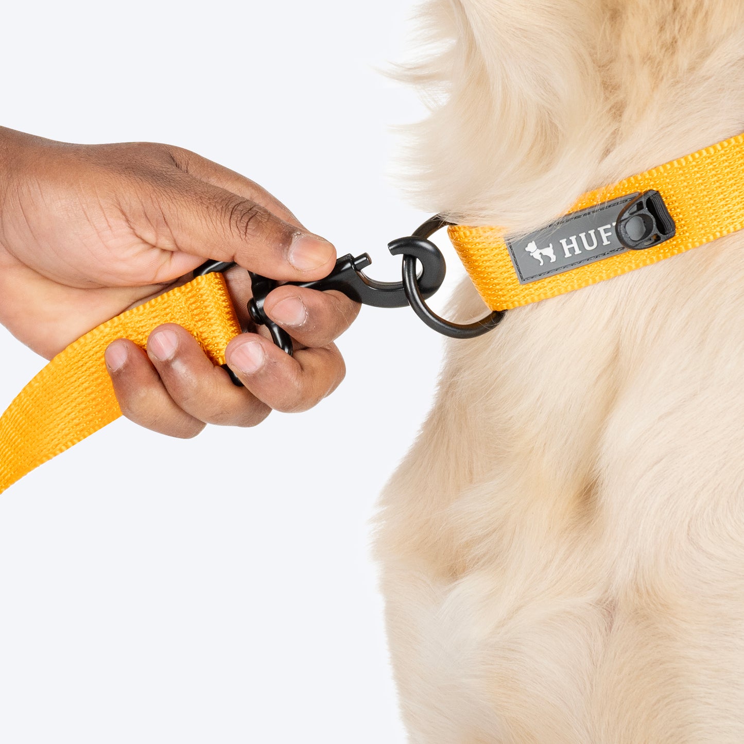 HUFT Personalised Basics (Mobile No.) Dog Collar - Yellow - Heads Up For Tails