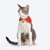 HUFT Brocade Dazzle Pet Scarf For Cat & Puppy - Red - Heads Up For Tails